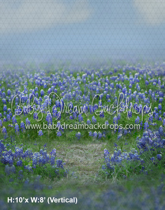 Blue Bonnet Field (AD)