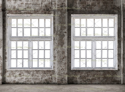 Boudoir Brick House Window