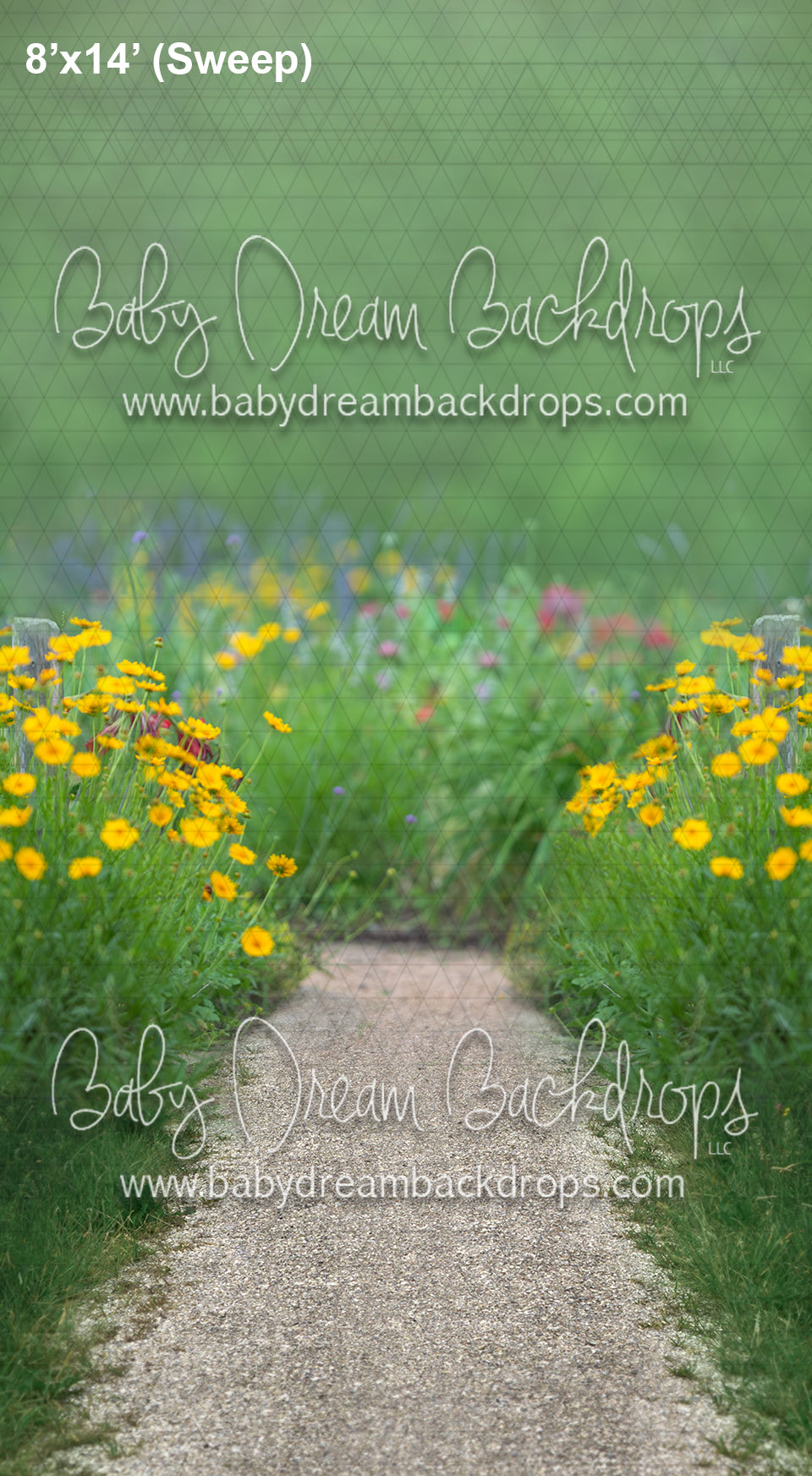 Sweeps Garden Path (AD)