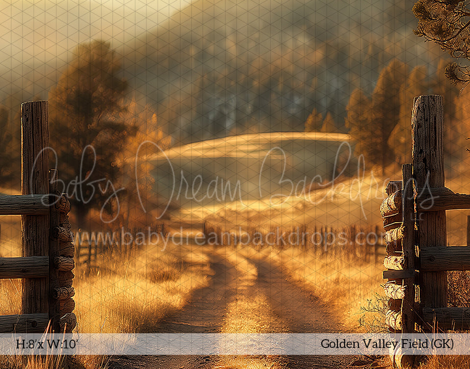 Golden Valley Field (GK)