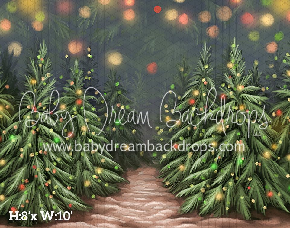 Presenting Divine Christmas Forest (BD)