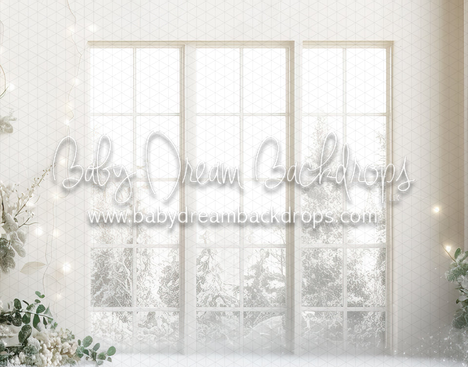 Snow Dusted Arch WIndow View (MD)