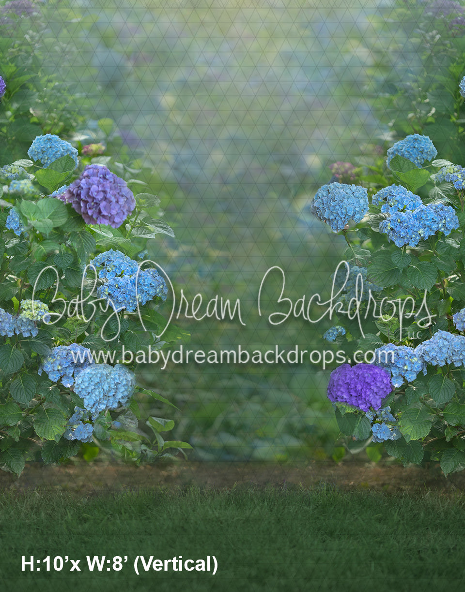 Spring Hydrangeas (AD)