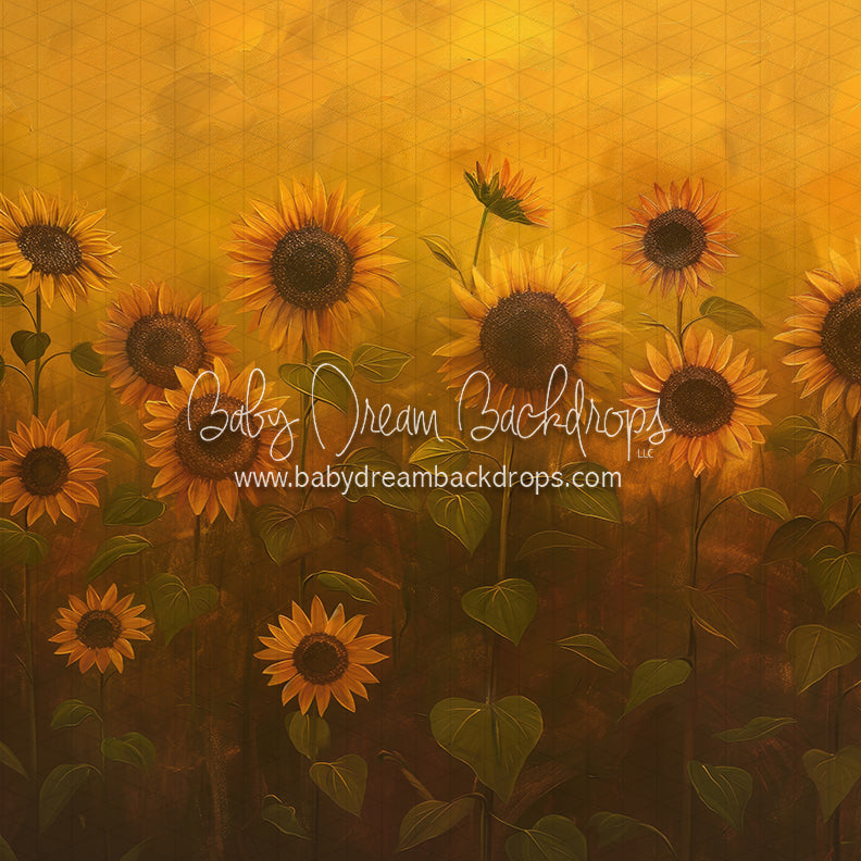 Sunflower Morning (LL)