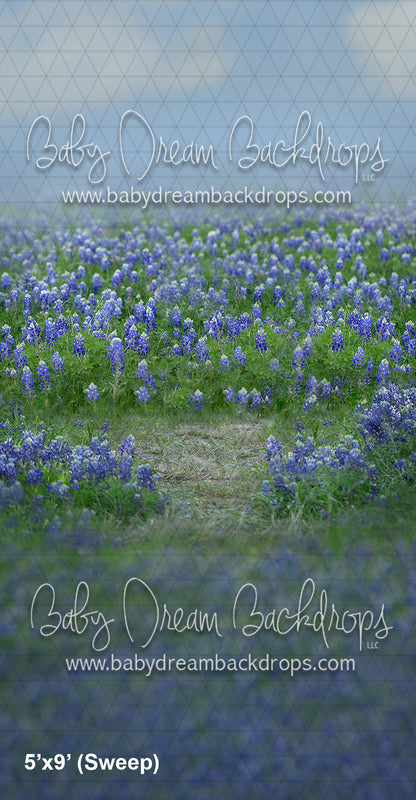 Sweeps Blue Bonnet Getaway (AD)