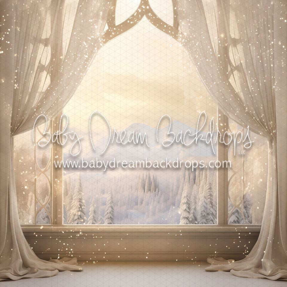 Winter Dream Window (MD)