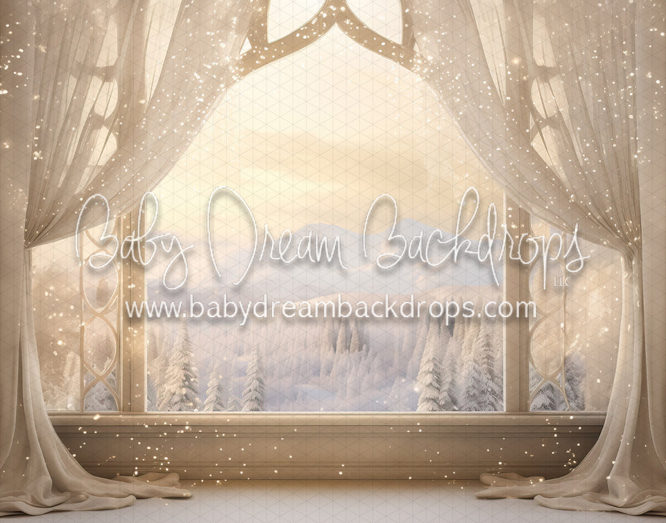 Winter Dream Window (MD)