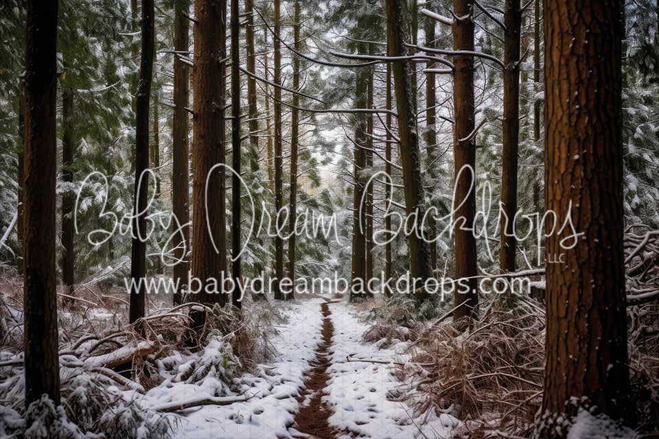 Winter Whispering Woods (AD)