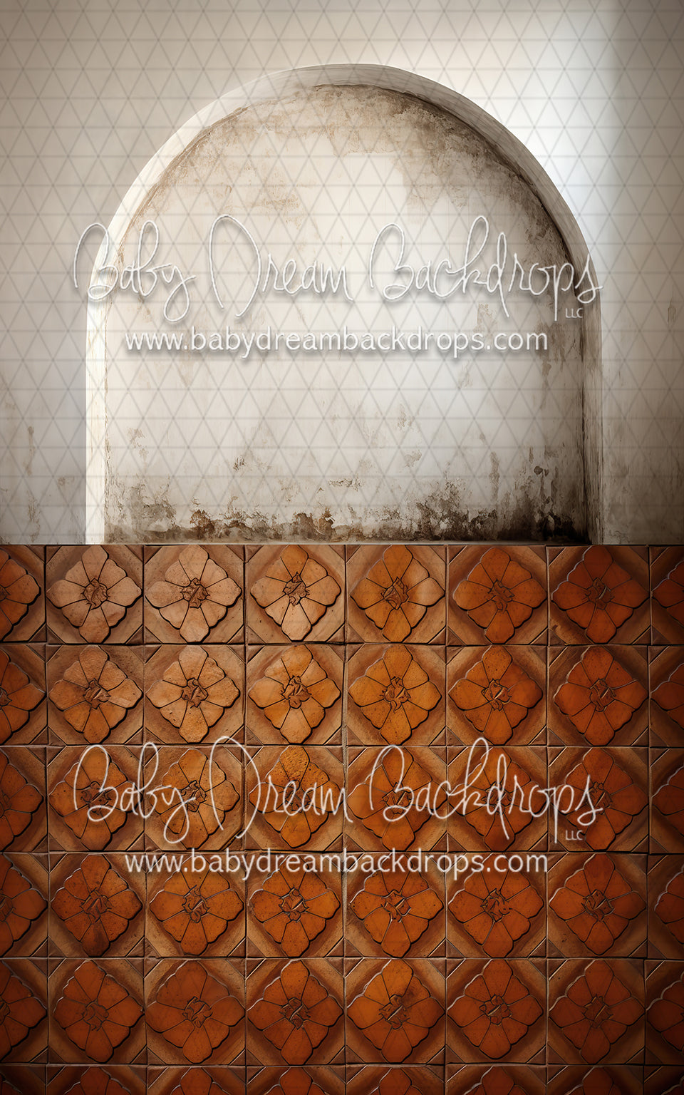 Textured Arch Wall 1, Terra Cotta Flower Tiles Sweep (MD)