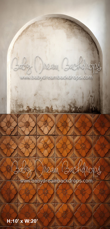 Textured Arch Wall 1, Terra Cotta Flower Tiles Sweep (MD)