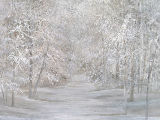 Winter Stroll SS - 60x80  