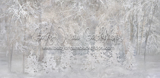 Winterland Delight - 10x20ft - SS